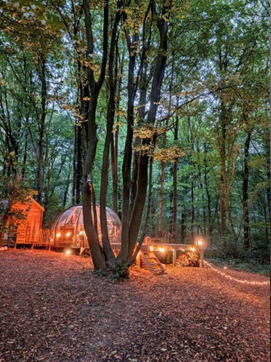 Le Dome De Namur - Une Nuit Insolite Dans Les Bois ภายนอก รูปภาพ