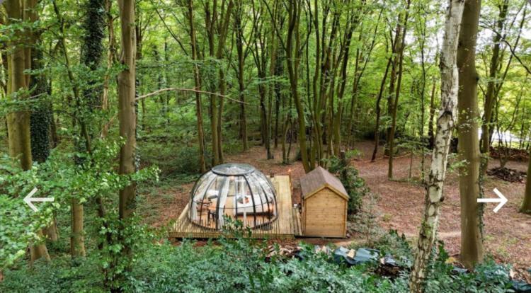 Le Dome De Namur - Une Nuit Insolite Dans Les Bois ภายนอก รูปภาพ