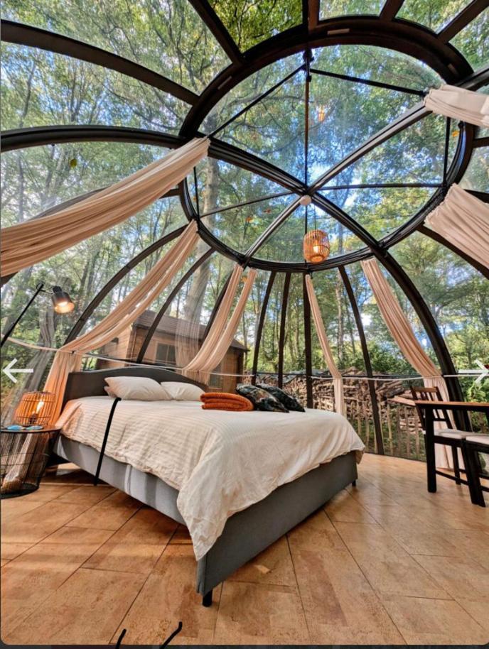 Le Dome De Namur - Une Nuit Insolite Dans Les Bois ภายนอก รูปภาพ
