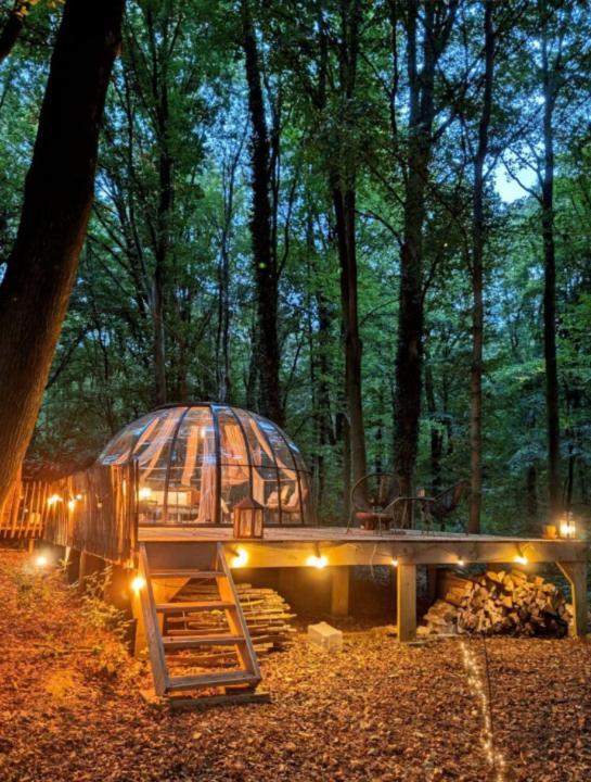 Le Dome De Namur - Une Nuit Insolite Dans Les Bois ภายนอก รูปภาพ